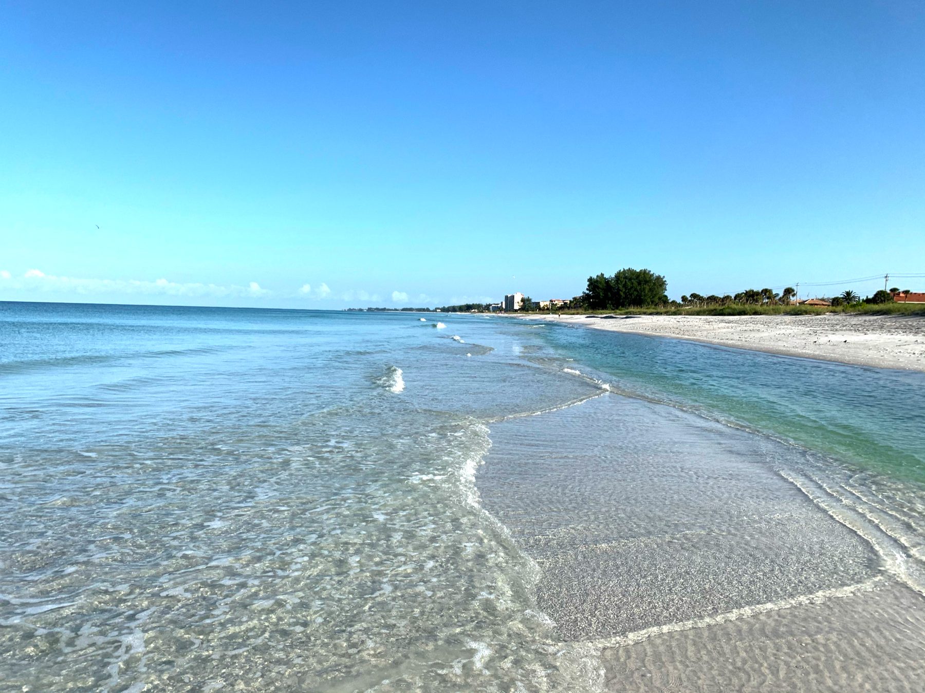 The Gulf beach on Longboat Key, a few hundred feet from the house